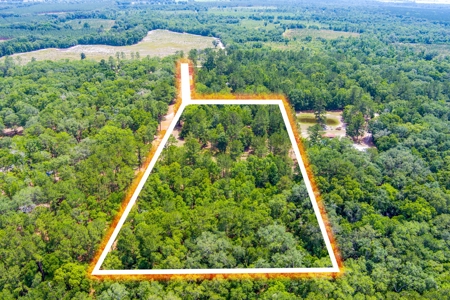 Vacant Land For Sale In Suwannee County Florida - image 15