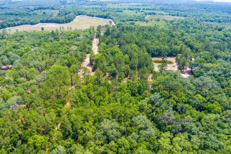 Vacant Land For Sale In Suwannee County Florida - image 2