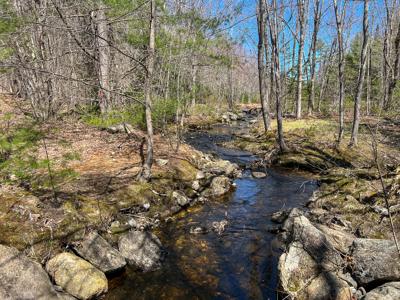 Maine Land with 3000 Feet of Stream Frontage - image 2