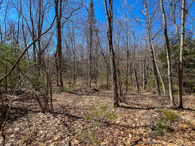 Maine Land with 3000 Feet of Stream Frontage - image 8