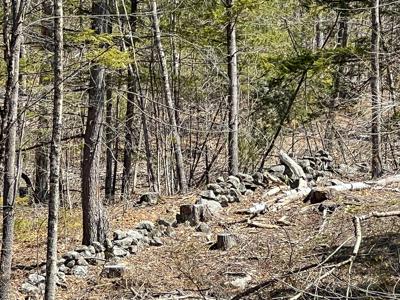 Maine Land with 3000 Feet of Stream Frontage - image 12