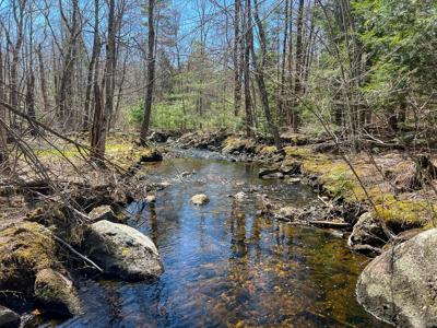 Maine Land with 3000 Feet of Stream Frontage - image 4