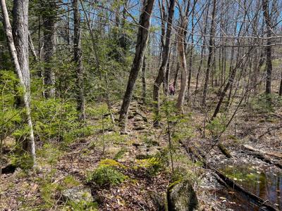 Maine Land with 3000 Feet of Stream Frontage - image 7