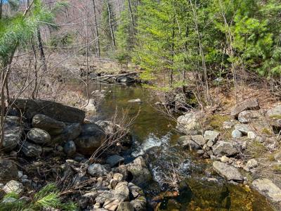 Maine Land with 3000 Feet of Stream Frontage - image 3