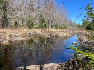 Maine Land with 3000 Feet of Stream Frontage - image 6