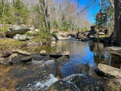 Maine Land with 3000 Feet of Stream Frontage - image 5