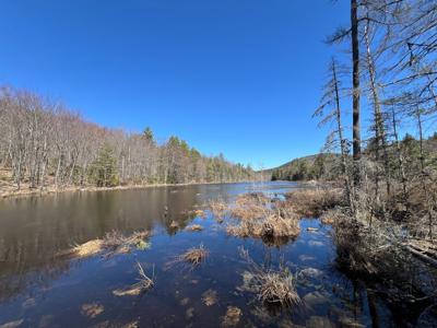 Maine Land with 3000 Feet of Stream Frontage - image 11