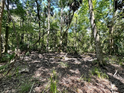 Hunting Property with Cabin - 15 Minutes From Cedar Key, FL - image 12