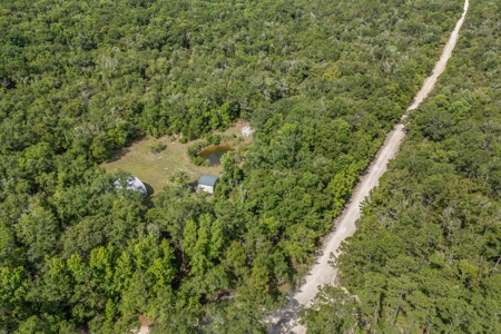 Hunting Property with Cabin - 15 Minutes From Cedar Key, FL - image 47