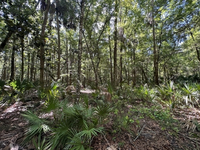 Hunting Property with Cabin - 15 Minutes From Cedar Key, FL - image 11