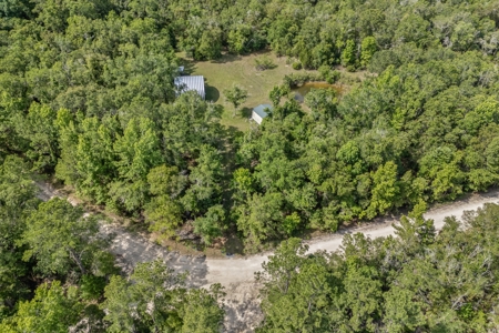 Hunting Property with Cabin - 15 Minutes From Cedar Key, FL - image 46