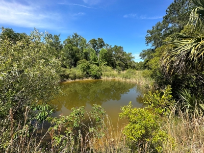 Hunting Property with Cabin - 15 Minutes From Cedar Key, FL - image 24