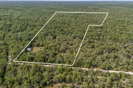 Hunting Property with Cabin - 15 Minutes From Cedar Key, FL - image 1