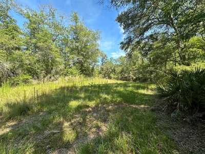 Hunting Property with Cabin - 15 Minutes From Cedar Key, FL - image 18