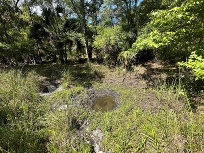Hunting Property with Cabin - 15 Minutes From Cedar Key, FL - image 23