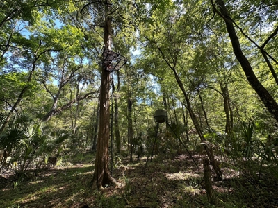 Hunting Property with Cabin - 15 Minutes From Cedar Key, FL - image 15