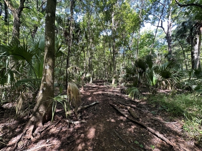 Hunting Property with Cabin - 15 Minutes From Cedar Key, FL - image 14