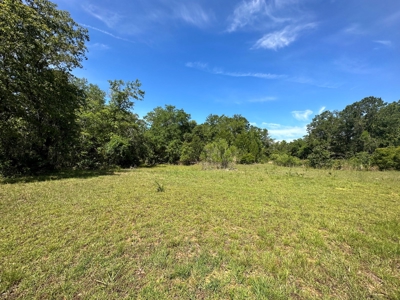 Hunting Property with Cabin - 15 Minutes From Cedar Key, FL - image 27