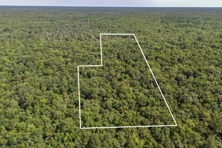Hunting Property with Cabin - 15 Minutes From Cedar Key, FL - image 32
