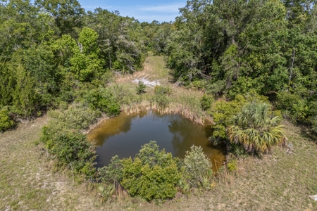 Hunting Property with Cabin - 15 Minutes From Cedar Key, FL - image 44
