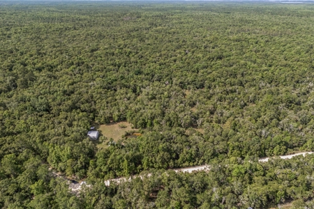 Hunting Property with Cabin - 15 Minutes From Cedar Key, FL - image 48
