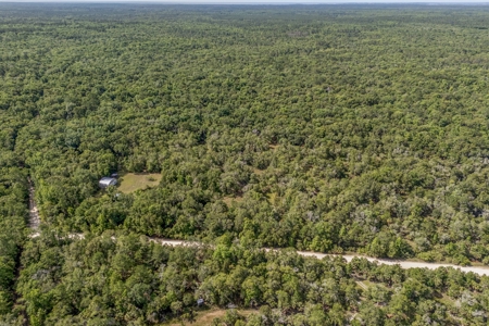 Hunting Property with Cabin - 15 Minutes From Cedar Key, FL - image 31