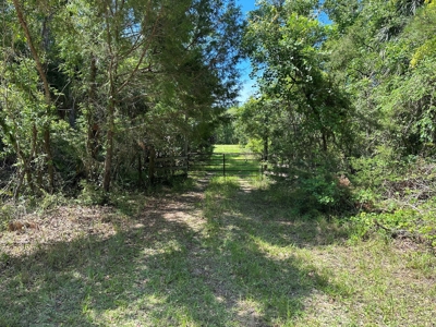 Hunting Property with Cabin - 15 Minutes From Cedar Key, FL - image 28