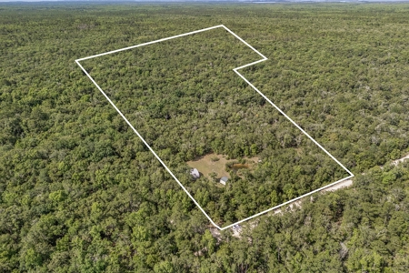 Hunting Property with Cabin - 15 Minutes From Cedar Key, FL - image 29