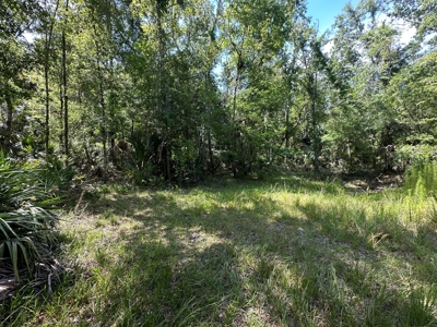 Hunting Property with Cabin - 15 Minutes From Cedar Key, FL - image 19