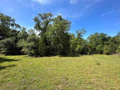 Hunting Property with Cabin - 15 Minutes From Cedar Key, FL - image 26