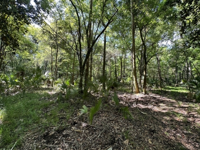 Hunting Property with Cabin - 15 Minutes From Cedar Key, FL - image 13