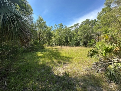 Hunting Property with Cabin - 15 Minutes From Cedar Key, FL - image 21