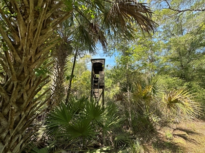Hunting Property with Cabin - 15 Minutes From Cedar Key, FL - image 22