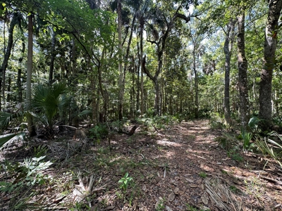 Hunting Property with Cabin - 15 Minutes From Cedar Key, FL - image 10