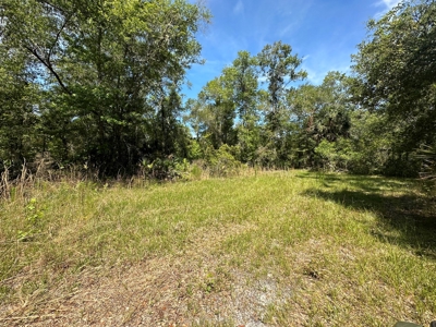Hunting Property with Cabin - 15 Minutes From Cedar Key, FL - image 20