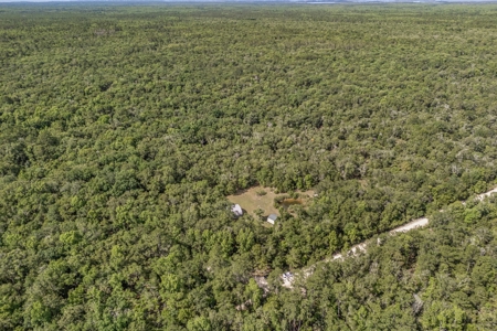 Hunting Property with Cabin - 15 Minutes From Cedar Key, FL - image 30