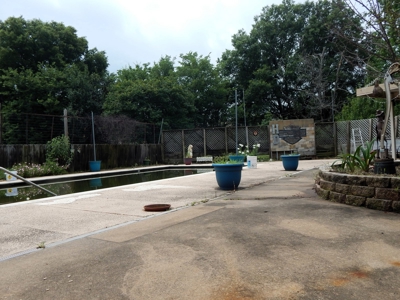 Expansive Country Home in Paris TX, Lamar County TX - image 6