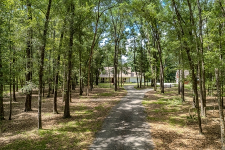 Riverfront House On The Santa Fe River-High Springs, Florida - image 3