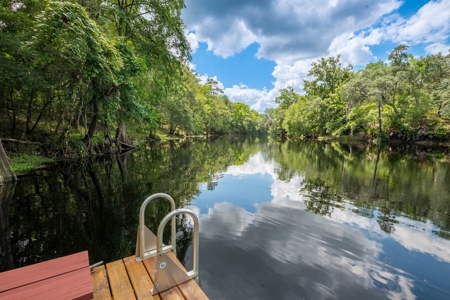 Riverfront House On The Santa Fe River-High Springs, Florida - image 22