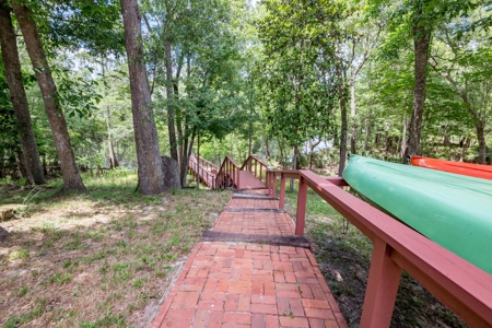 Riverfront House On The Santa Fe River-High Springs, Florida - image 18