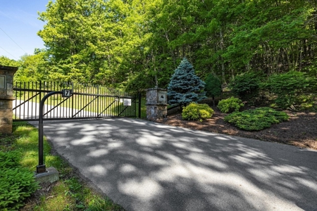 Large Wooded Tract of Land for Sale in Tazewell VA - image 30