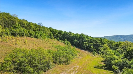 Large Wooded Tract of Land for Sale in Tazewell VA - image 11