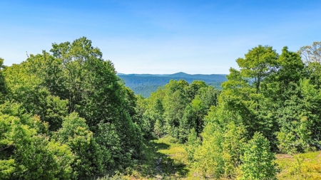 Large Wooded Tract of Land for Sale in Tazewell VA - image 18