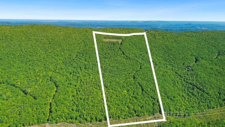 Large Wooded Tract of Land for Sale in Tazewell VA - image 23