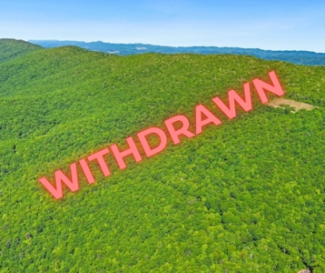 Large Wooded Tract of Land for Sale in Tazewell VA - image 31