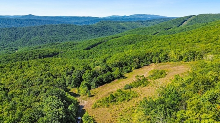 Large Wooded Tract of Land for Sale in Tazewell VA - image 14