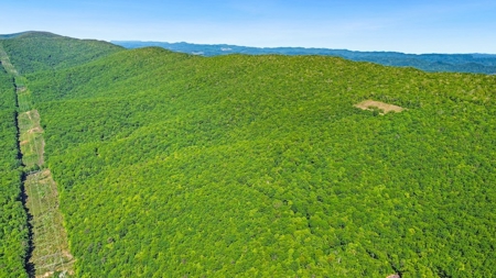 Large Wooded Tract of Land for Sale in Tazewell VA - image 1