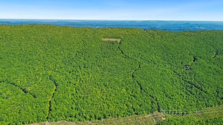 Large Wooded Tract of Land for Sale in Tazewell VA - image 24