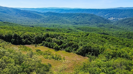 Large Wooded Tract of Land for Sale in Tazewell VA - image 13