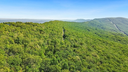 Large Wooded Tract of Land for Sale in Tazewell VA - image 27